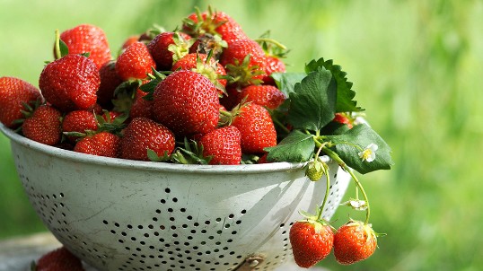 Glad sommar!