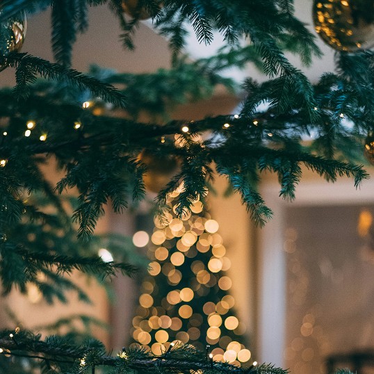 God jul önskar Mistra!